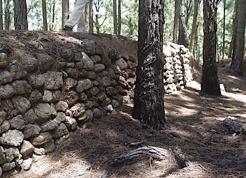 Remains of Ancient Haldummulla Fort, Sri Lanka